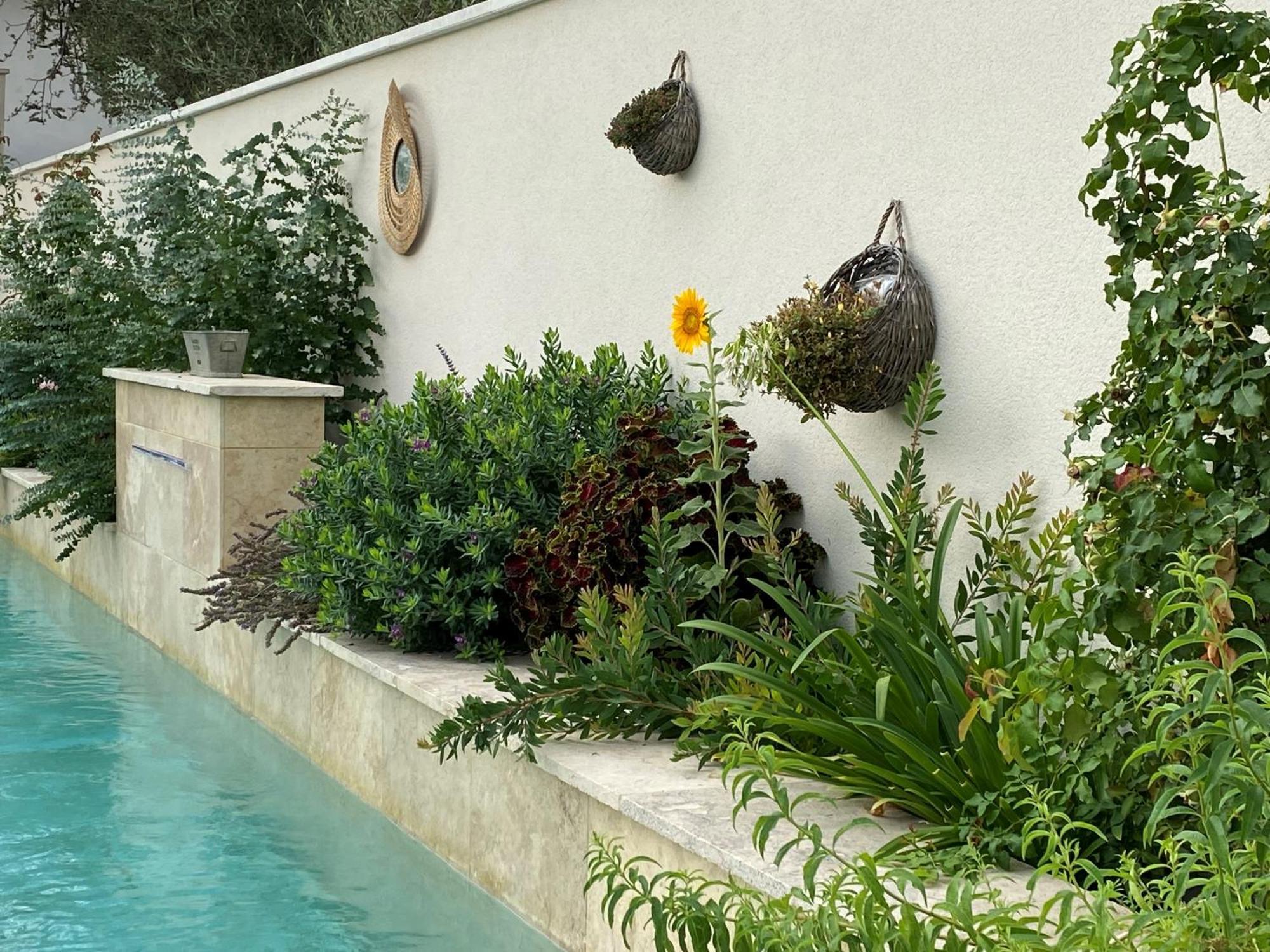 Les Logis De Cocagne Apartman Saint-Rémy-de-Provence Kültér fotó